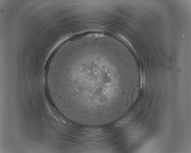 X0000063460435200601201250