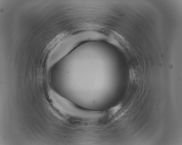 X0000063460436200601201250