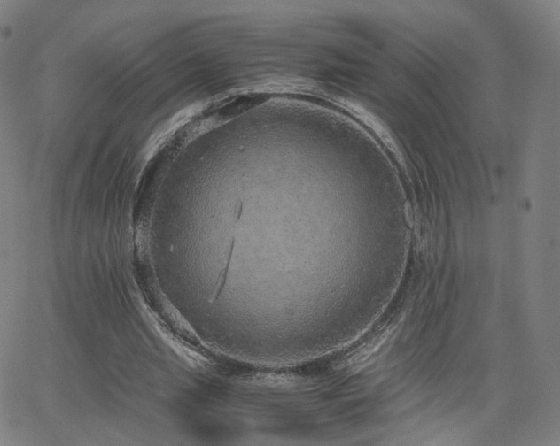 X0000063460437200601201250