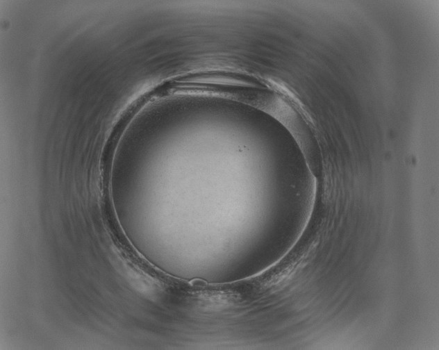 X0000063460439200601201250