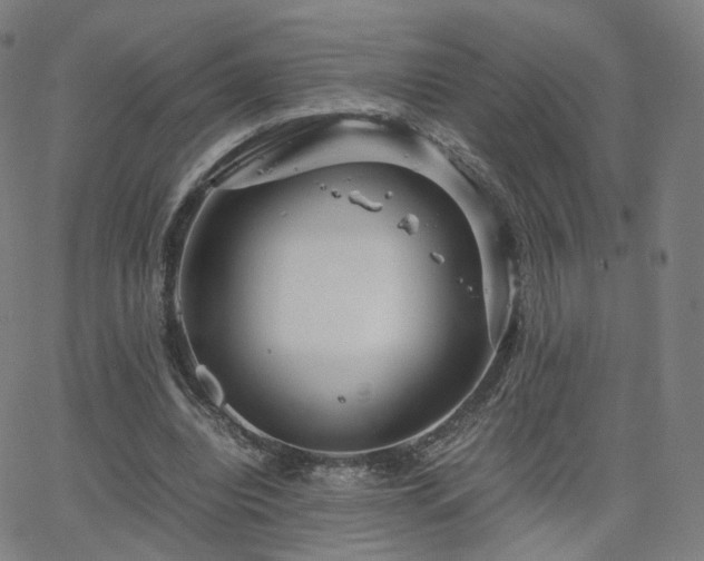 X0000063460440200601201250