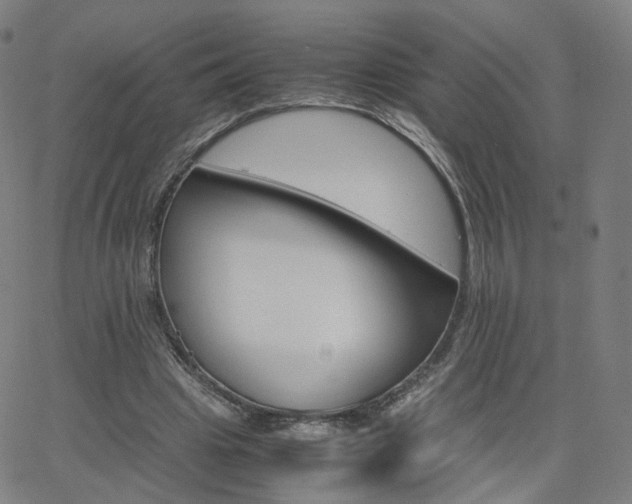 X0000063460441200601201250