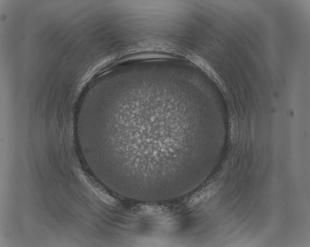 X0000063460442200601201250