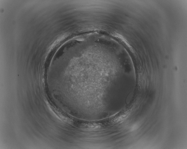 X0000063460443200601201250