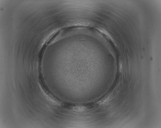 X0000063460444200601201250