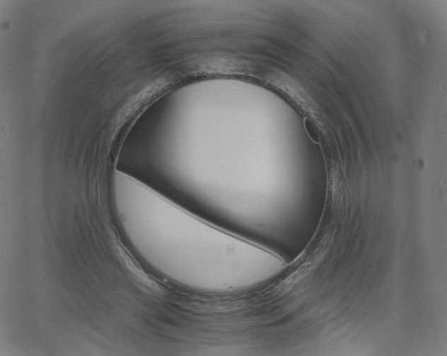 X0000063460445200601201250