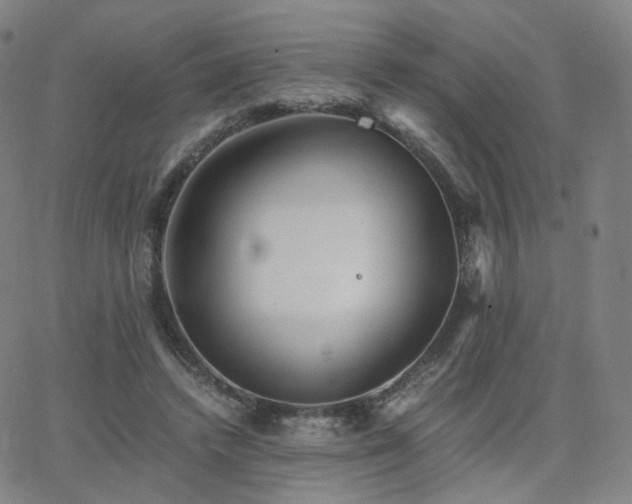 X0000063460448200601201250