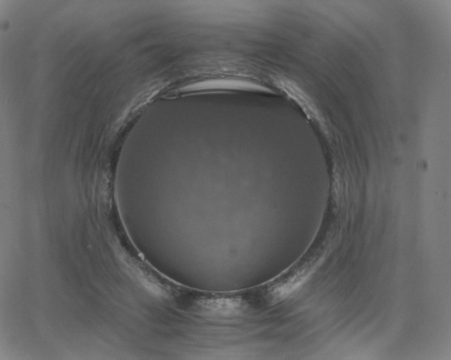 X0000063460449200601201250