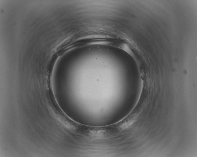 X0000063460450200601201250