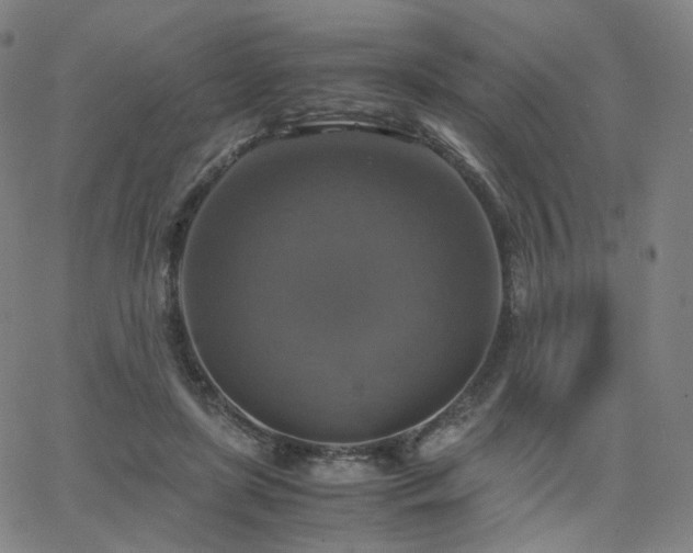 X0000063460451200601201250