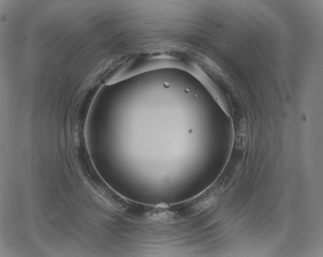 X0000063460452200601201250