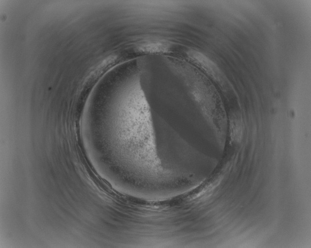 X0000063460453200601201250