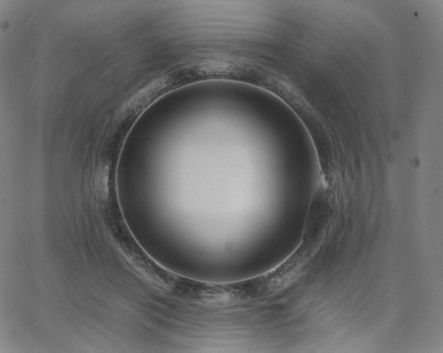 X0000063460454200601201250