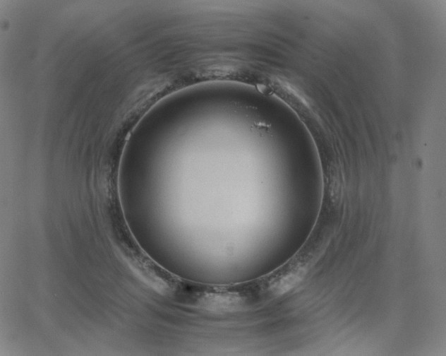 X0000063460455200601201250