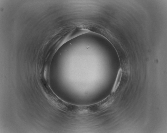 X0000063460456200601201250