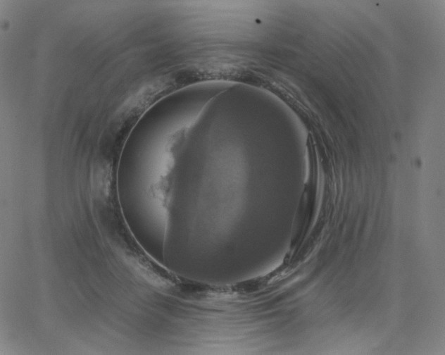 X0000063460458200601201250