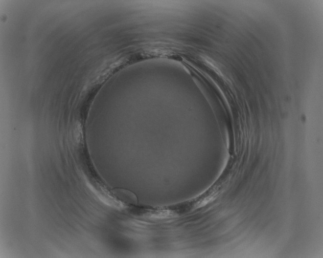 X0000063460459200601201250