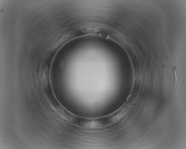 X0000063460460200601201250