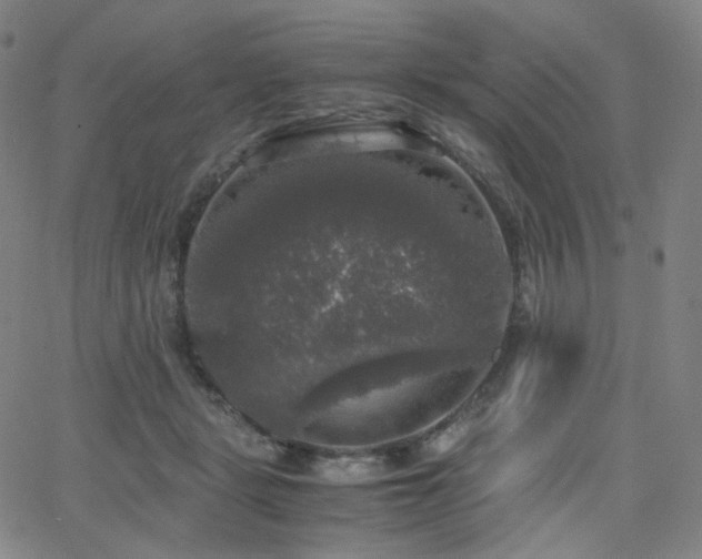 X0000063460461200601201250