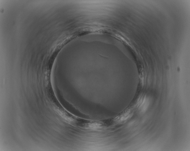 X0000063460462200601201250