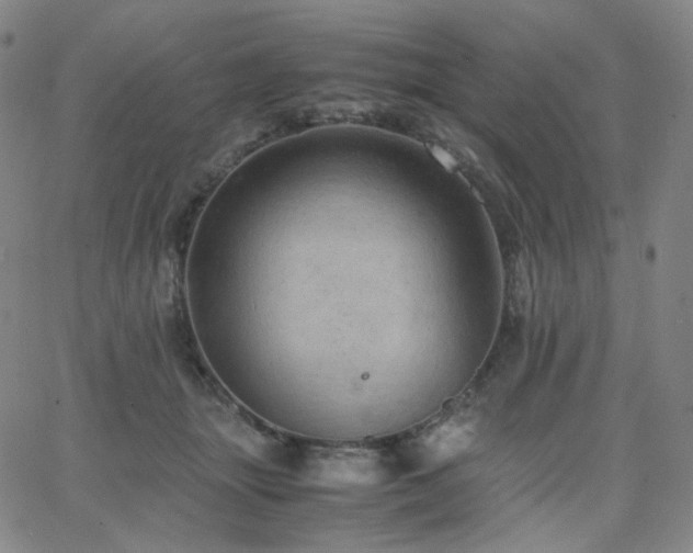 X0000063460463200601201250