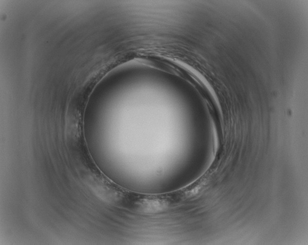 X0000063460464200601201250