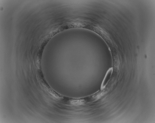 X0000063460465200601201250