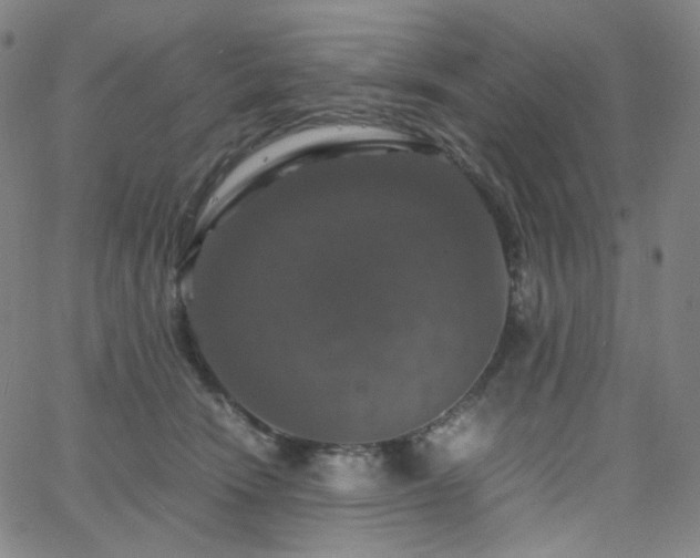 X0000063460466200601201250