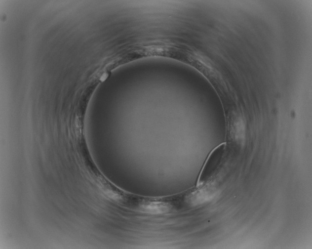 X0000063460467200601201250