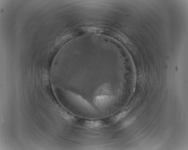 X0000063460469200601201250