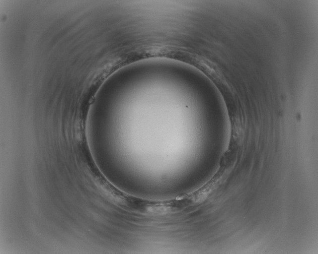 X0000063460470200601201250