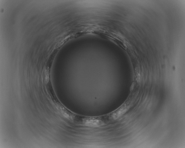 X0000063460471200601201250