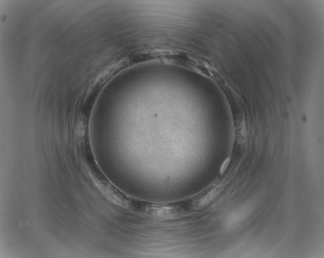 X0000063460472200601201250