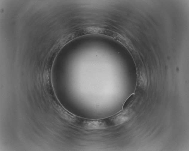 X0000063460473200601201250