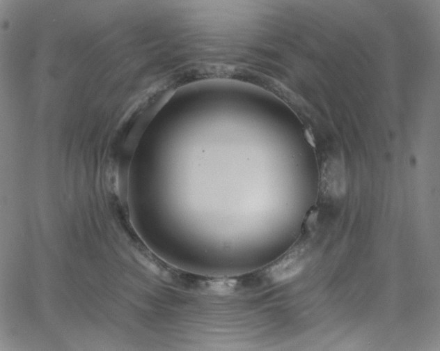 X0000063460474200601201250