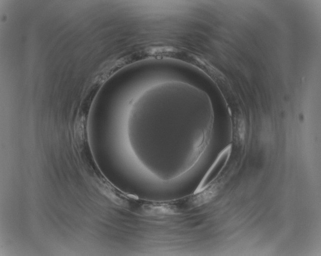 X0000063460475200601201250