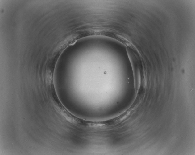 X0000063460476200601201250