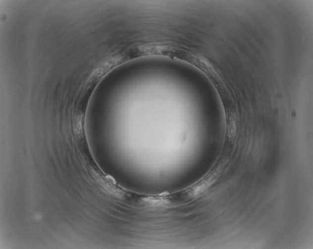 X0000063460477200601201250