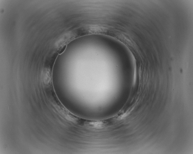 X0000063460478200601201250