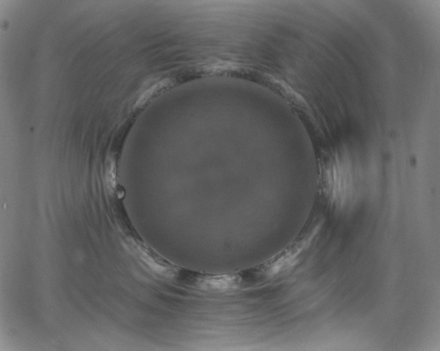 X0000063460479200601201250