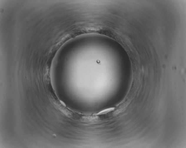 X0000063460480200601201250