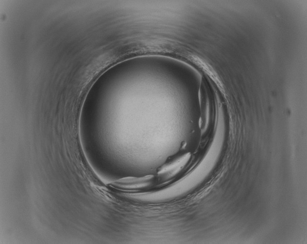 X0000063460481200601201249