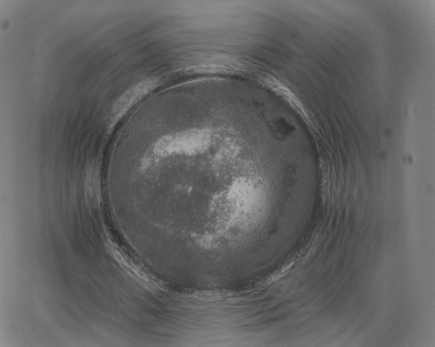 X0000063460482200601201249