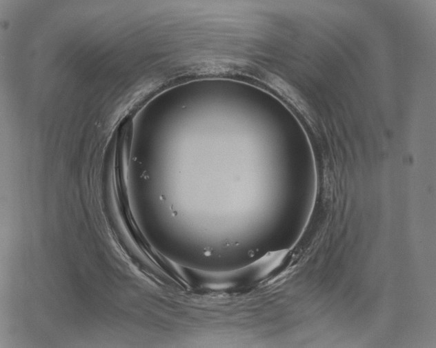 X0000063460485200601201249