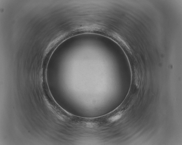 X0000063460486200601201249