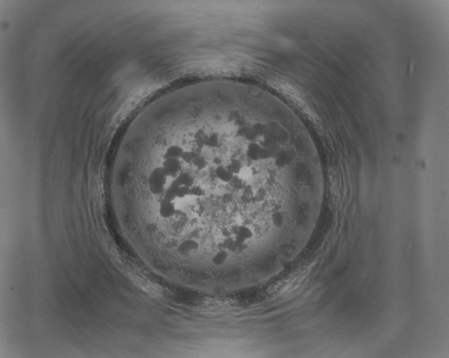 X0000063460487200601201249