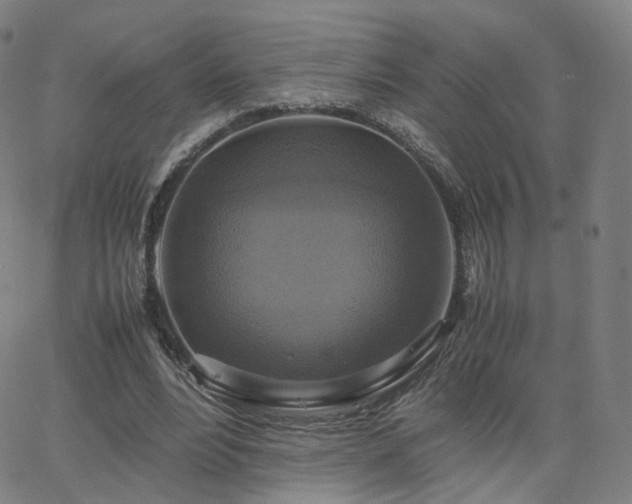 X0000063460488200601201249