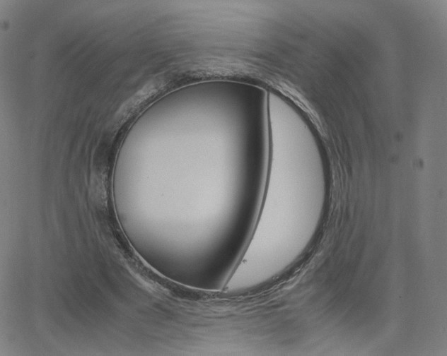 X0000063460489200601201249