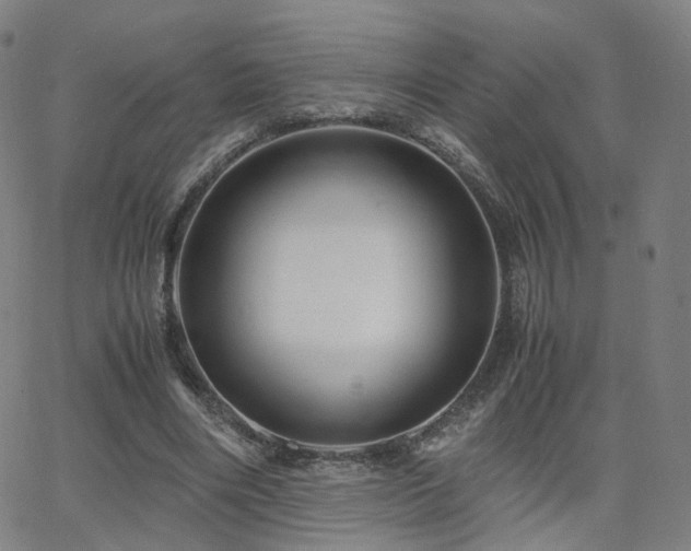 X0000063460490200601201249