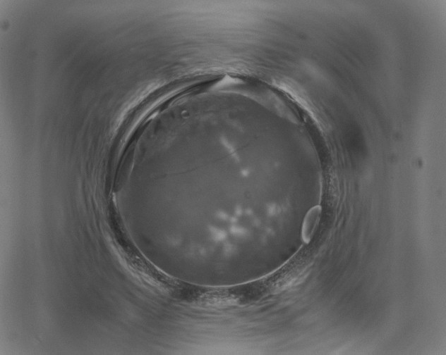 X0000063460491200601201249